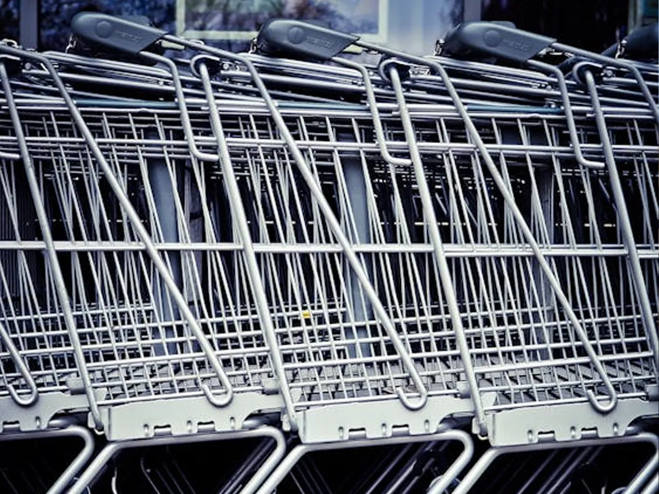 Shopping Carts